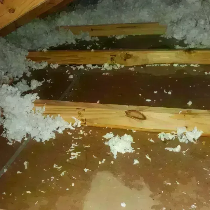 Attic Water Damage in De Witt, AR